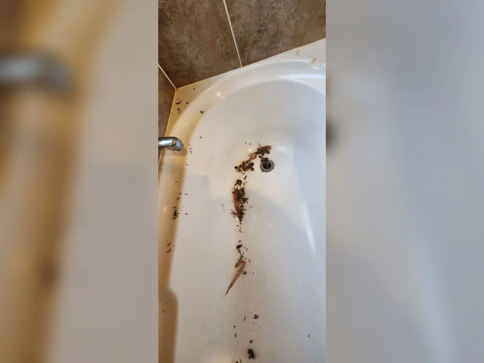 Bathtub Deep Clean - Before