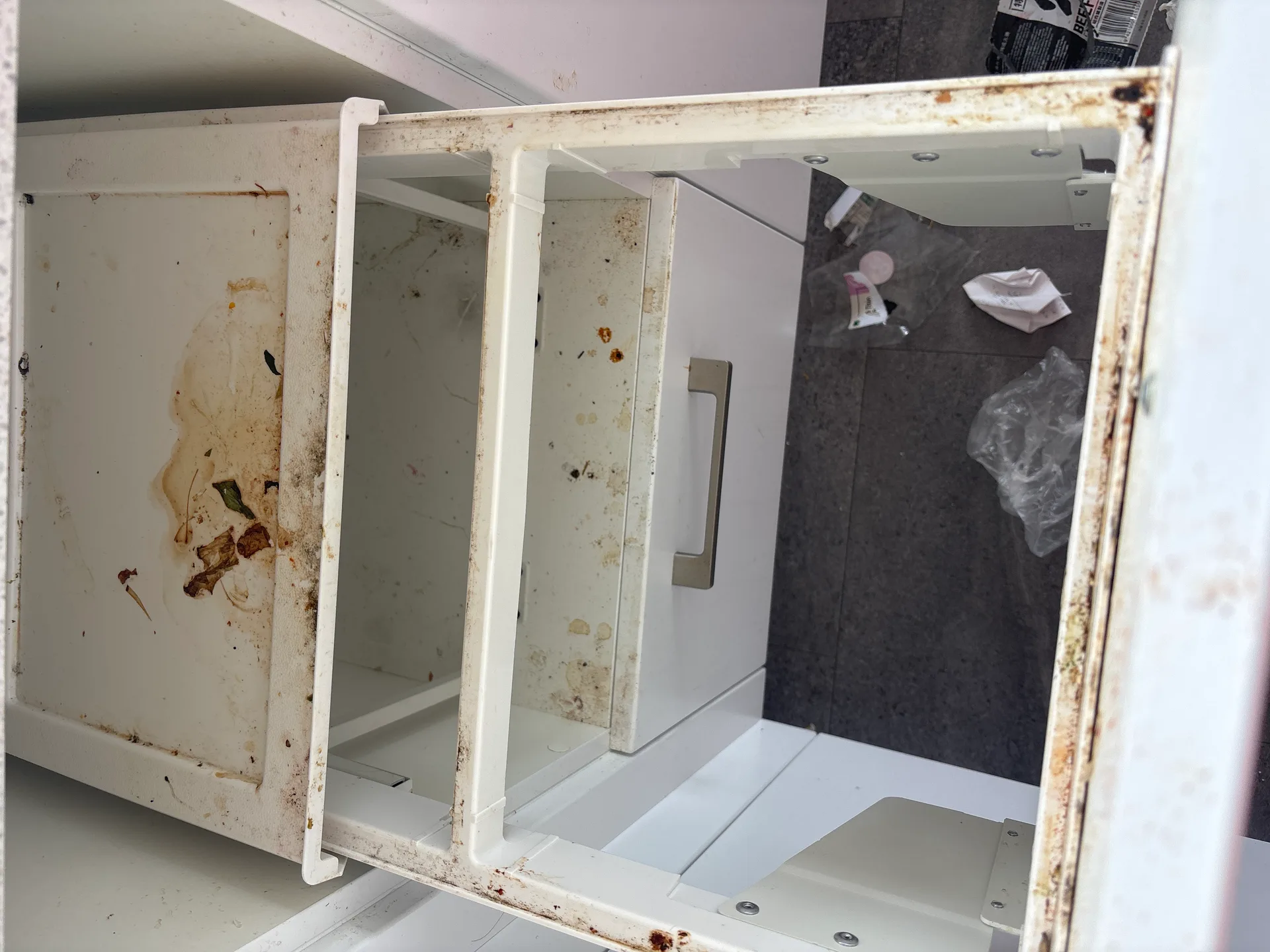 Freezer Cleaning - Before