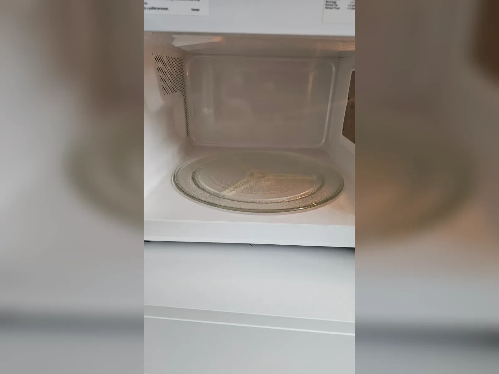 Microwave Cleaning - After