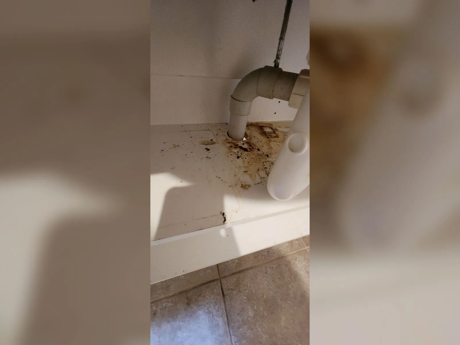 Sink Trap Degrease - Before