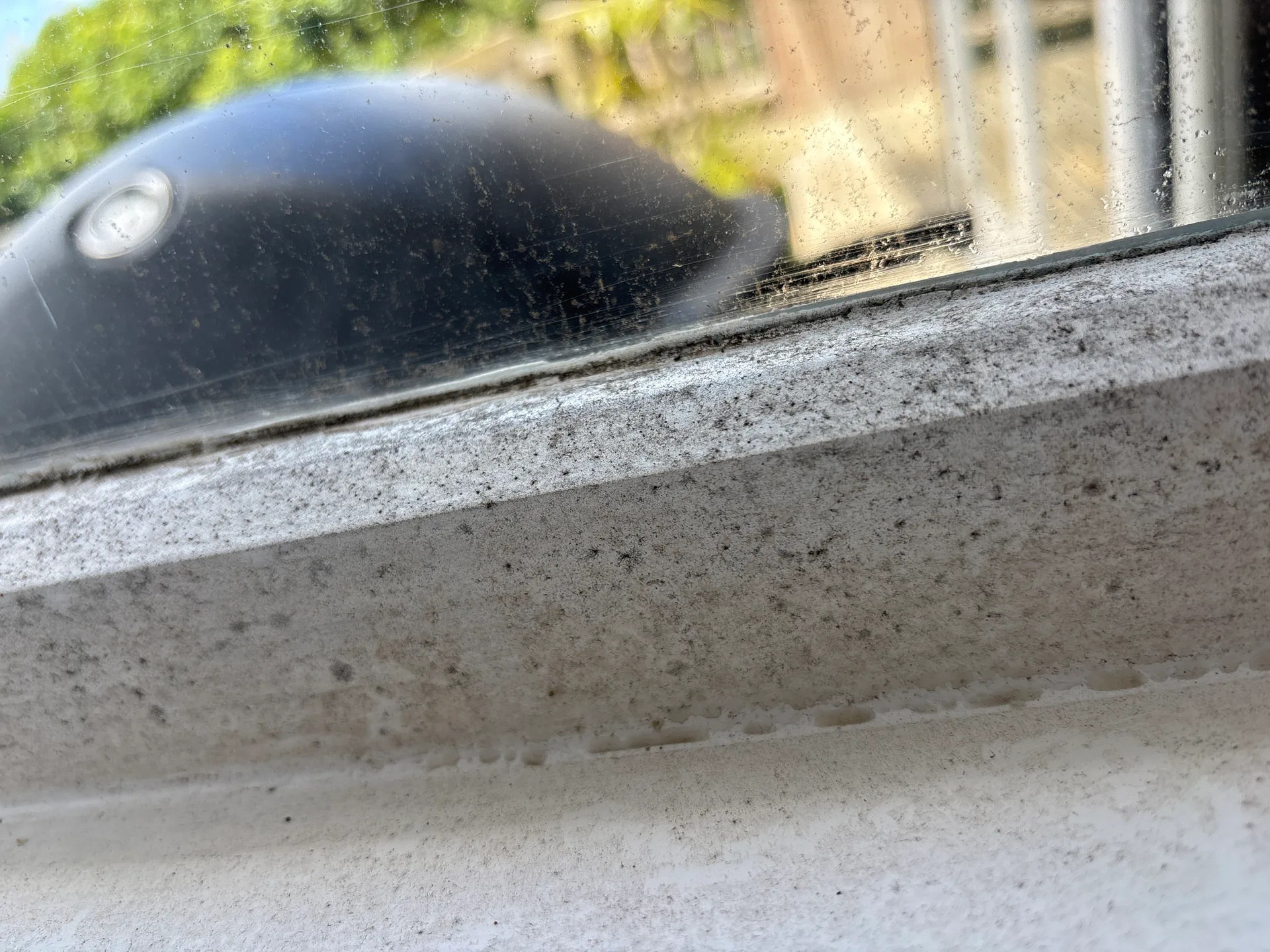 Window Sill Cleaning - Before