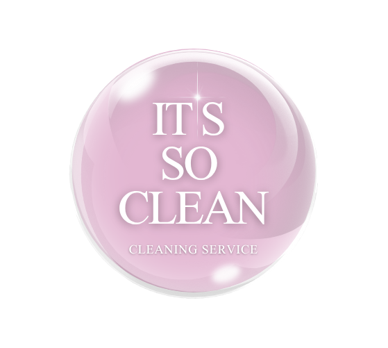 It's So Clean Logo
